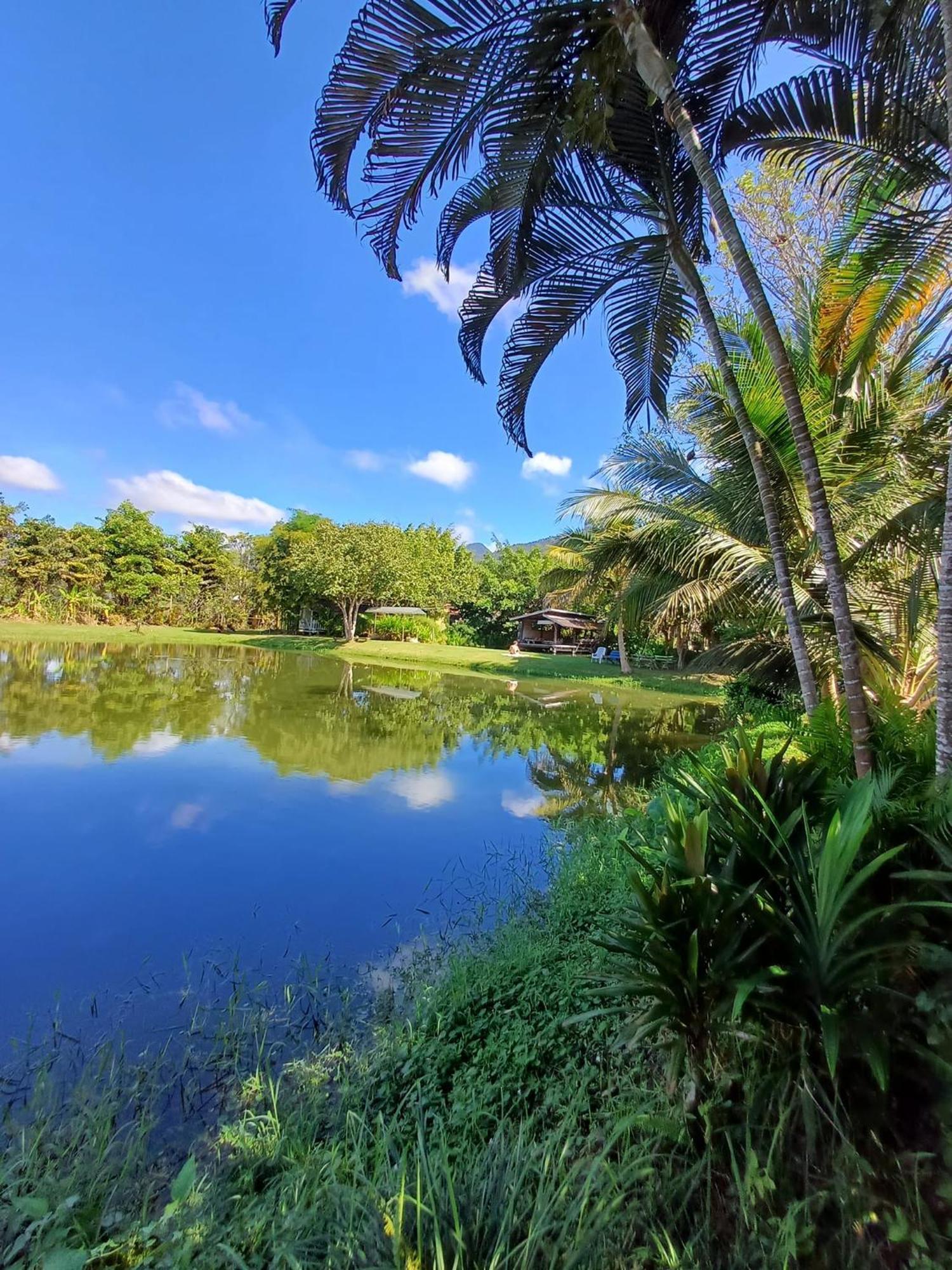 Вилла Bueng Pai Farm บึงปายฟาร์ม Экстерьер фото